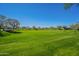 Expansive green space with a picnic area, trees, clear blue skies, and a sense of open community at 3062 E Cullumber St, Gilbert, AZ 85234