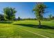 Expansive green park with mature trees and clear blue sky, offering a peaceful retreat for recreation and relaxation at 3062 E Cullumber St, Gilbert, AZ 85234