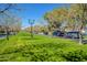 Inviting neighborhood street with a lush, green median lined with mature trees and lampposts at 3062 E Cullumber St, Gilbert, AZ 85234