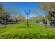 A symmetrical view of neighborhood with mature trees and green median with lamp posts at 3062 E Cullumber St, Gilbert, AZ 85234