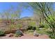 Backyard features an outdoor living space, desert plants, and mountain views at 32710 N 71St St, Scottsdale, AZ 85266