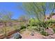 Relaxing backyard showcasing mature trees, manicured desert plants and a mountain view at 32710 N 71St St, Scottsdale, AZ 85266