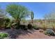 Inviting backyard with brick patio, desert landscaping, a mature tree and distant desert views at 32710 N 71St St, Scottsdale, AZ 85266