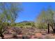 Desert landscape featuring rolling hills and indigenous trees at 32710 N 71St St, Scottsdale, AZ 85266