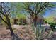 Beautifully landscaped front yard with desert foliage and mature trees, leading to an inviting home at 32710 N 71St St, Scottsdale, AZ 85266