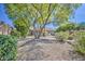 Well-maintained home with mature trees, lush landscaping, and desert rock features in a tranquil front yard setting at 694 W Beechnut Dr, Chandler, AZ 85248