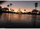 Scenic lake view at sunset, reflecting silhouetted palm trees and foliage in the calm water at 694 W Beechnut Dr, Chandler, AZ 85248