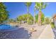 Lush backyard with a freeform pool, stone accents, mature palm trees and gravel landscaping at 694 W Beechnut Dr, Chandler, AZ 85248
