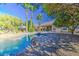 Backyard pool area with lush landscaping, swaying palm trees and smooth stone border at 694 W Beechnut Dr, Chandler, AZ 85248