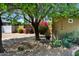 Landscaped front yard with desert plants, trees, and a view of the house number at 7246 E Virginia Ave, Scottsdale, AZ 85257