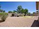 Backyard featuring desert landscaping, with gravel and mature plants at 8068 W Carlota Ln, Peoria, AZ 85383