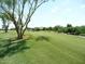 Picturesque golf course view features rolling greens, mature trees, and clear blue skies at 8541 E Krail St, Scottsdale, AZ 85250