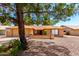 Charming single-story home with a desert landscape and mature shade tree at 9645 W Kimberly Way, Peoria, AZ 85382
