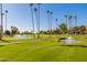 Beautiful golf course view with manicured greens, mature palm trees, and a serene water feature with fountains at 9645 W Kimberly Way, Peoria, AZ 85382