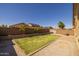 Backyard with green grass turf and rock landscaping with palm trees at 17038 W Mohave St, Goodyear, AZ 85338