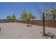 Spacious backyard with desert landscaping, mature trees, and a block fence at 18766 N Salerno Dr, Maricopa, AZ 85138