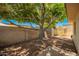 Backyard featuring mature trees providing ample shade, a storage shed, and a block fence at 1951 E Del Sur Dr, Tempe, AZ 85283