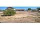Large vacant lot with mature tree ready for new construction or landscaping at 20911 E Excelsior Ave, Queen Creek, AZ 85142