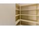 Walk-in pantry with adjustable shelving at 21136 N 36Th Pl, Phoenix, AZ 85050