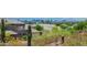 Stunning panoramic city view from atop a desert landscape showcasing native cacti and lush desert foliage at 3153 E Sierra Vista Dr, Phoenix, AZ 85016