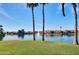 Picturesque lake view framed by palm trees and manicured lawns, offering a tranquil setting with neighborhood houses visible at 3830 E Lakewood E Pkwy # 3014, Phoenix, AZ 85048