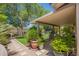 Private backyard with a covered patio, manicured landscaping, gravel pathway and established shade trees at 5350 S River Dr, Tempe, AZ 85283