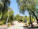 Scenic walking path lined with trees, providing a peaceful outdoor experience with modern lamp posts at 5350 S River Dr, Tempe, AZ 85283