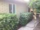 Charming exterior with lush landscaping and a well-maintained yard, offering privacy and curb appeal at 1036 E Wagon Wheel Dr, Phoenix, AZ 85020