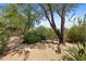 Serene backyard featuring desert landscaping, gravel, mature trees and a relaxing garden at 11081 E Betony Dr, Scottsdale, AZ 85255