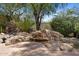 Scenic water feature in a landscaped yard with native plants, rocks, and a small waterfall at 11081 E Betony Dr, Scottsdale, AZ 85255