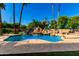 Backyard pool with rock waterfall, surrounded by lush landscaping and mature palm trees at 2558 E Page Ct, Gilbert, AZ 85234