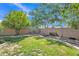 Spacious backyard with lush grass, shade trees, and landscaping offering a serene outdoor space at 2642 S Joplin --, Mesa, AZ 85209