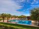 Resort-style community pool with scenic mountain views, surrounded by mature palm trees and lounge chairs at 29431 N 122Nd Gln, Peoria, AZ 85383
