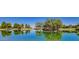 Scenic pond reflecting trees and a wooden dock, offering a peaceful recreational area with manicured lawns at 4101 S Dewdrop Ct, Gilbert, AZ 85297