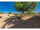 Expansive backyard featuring mature shade tree and gravel landscaping at 1213 W Beck Ln, Phoenix, AZ 85023