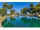 Picturesque pond reflecting clear skies, mature trees, and palm trees, in a vibrant community at 14428 W Moccasin Trl, Surprise, AZ 85374
