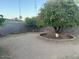 Backyard featuring a block fence, citrus tree, and decorative brick border at 18045 N 20Th N Ln, Phoenix, AZ 85023