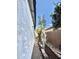 Narrow side yard of a home with gravel, plants and block wall fence at 1812 S Racine Ln, Gilbert, AZ 85295