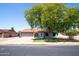 Charming single-story home featuring a large tree, well-maintained lawn, and inviting curb appeal at 2338 E Javelina Ave, Mesa, AZ 85204