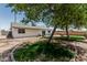 Backyard view featuring grassy area, patio seating, mature tree with hammock, and block wall at 343 W Santa Cruz Dr, Tempe, AZ 85282