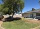 Beautiful backyard with green grass, mature trees, and patio space, perfect for outdoor living and entertaining at 343 W Santa Cruz Dr, Tempe, AZ 85282