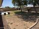 Spacious backyard featuring a block fence, mature trees, and a comfortable hammock for relaxation at 343 W Santa Cruz Dr, Tempe, AZ 85282
