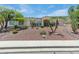 Inviting single-story home featuring desert landscaping and palm trees in the front yard at 5949 W Pinnacle Hill Dr, Glendale, AZ 85310