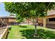 Lush backyard with mature tree, spacious patio area, and outdoor seating perfect for entertaining at 6033 W Wood St, Phoenix, AZ 85043