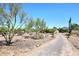 Desert-style home exterior showing native landscaping at 6608 E Ranch Rd, Cave Creek, AZ 85331