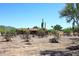 Expansive property with desert landscape and mature cacti at 6608 E Ranch Rd, Cave Creek, AZ 85331