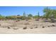 Desert-landscaped front yard with native plants, offering a serene and natural setting at 6608 E Ranch Rd, Cave Creek, AZ 85331