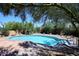 Backyard pool surrounded by mature trees and desert landscape at 6608 E Ranch Rd, Cave Creek, AZ 85331