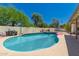 Large swimming pool with lush landscaping and a privacy fence at 930 N Sandal Cir, Mesa, AZ 85205