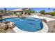 Backyard swimming pool with surrounding desert landscaping and a shark in the water at 9347 E Hillview Cir, Mesa, AZ 85207